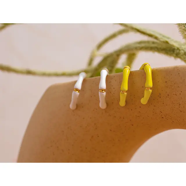 Hoku Enamel Hoop Earrings - 18K Gold Coated